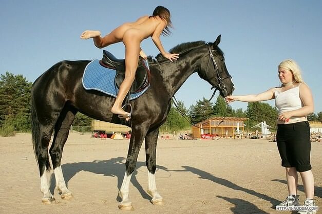 Reiten auf dem Pferderücken