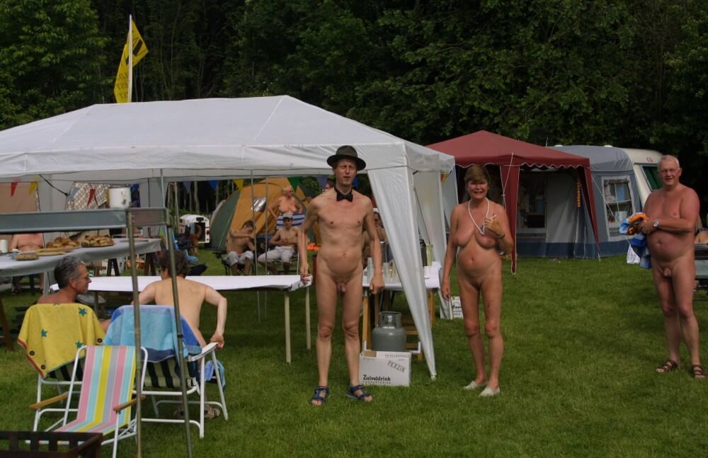 Holland Natur zu Hause bleiben Bilder