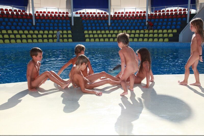 Schwimmende Delfine Fotogalerie