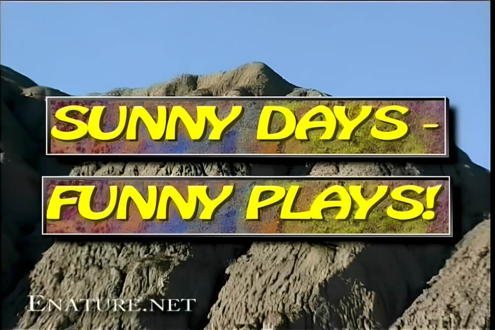 Enature - Sonnige Tage - Lustige Spiele