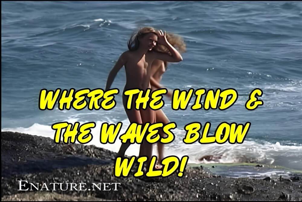 Enature - Wo der Wind und die Wellen wild wehen!