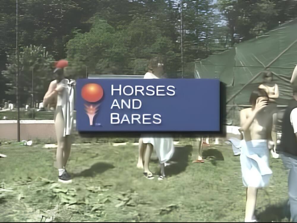Pferde und Bares